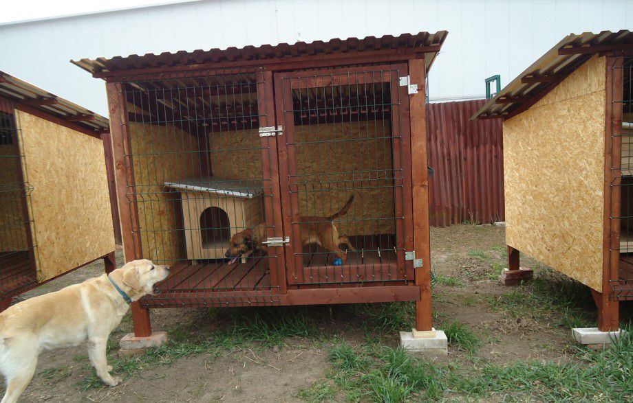 v hoteli vznikajú aj psie priateľstvá