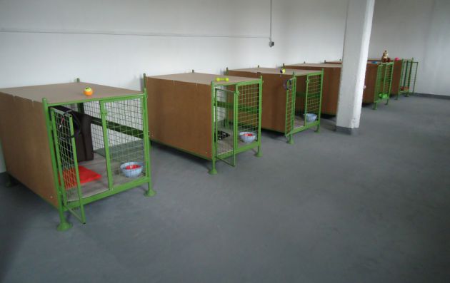 interiérové voliéry hotela pre psov