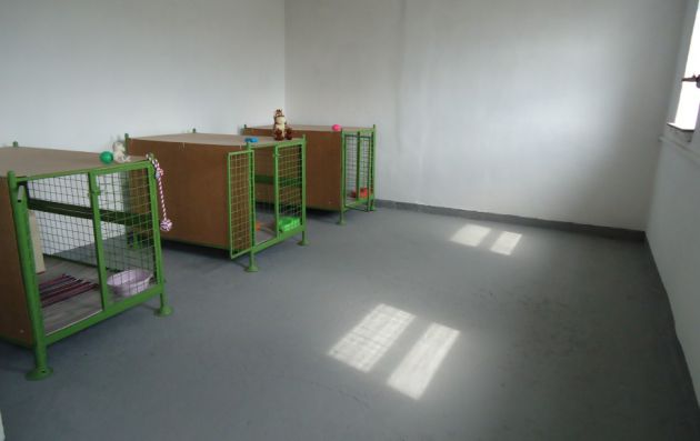 interiérové voliéry s búdami psí hotel