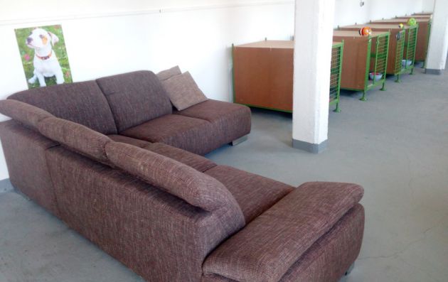 interiérové voliéry s búdami psí hotel