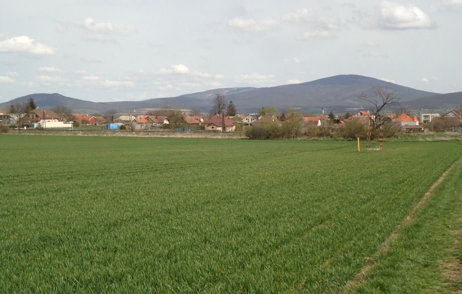 okolie hotela s priestorom na prechádzky