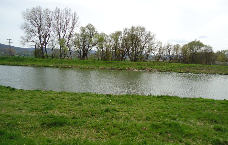 prechádzky aj možnosti osvieženia psíkov