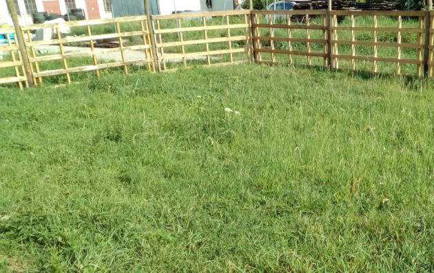 vonkajšie oplotenie areélu a vnútorné ohradníkové oplotenie psí hotel